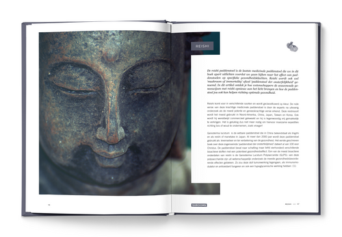 SHROOMS - Het vergeten rijk van medicinale paddenstoelen - Bioprofiel