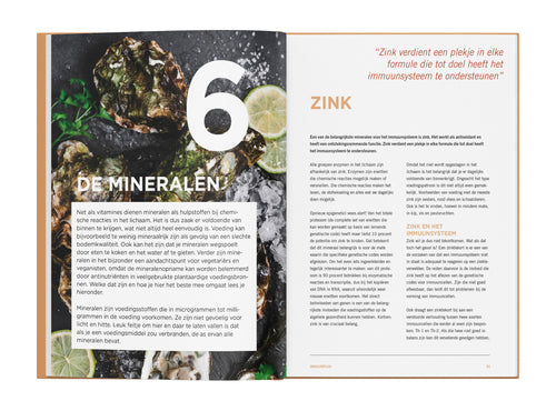 IMMUUNPLAN - voeding voor een ijzersterk afweersysteem