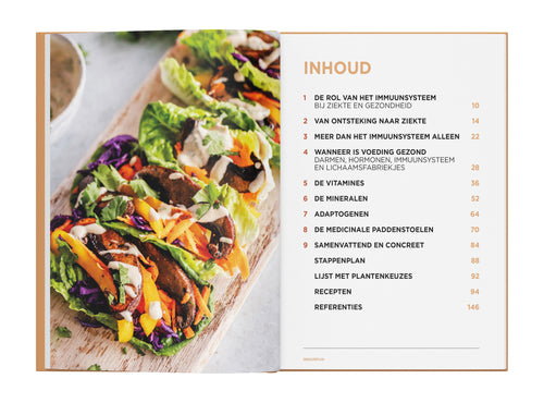 IMMUUNPLAN - voeding voor een ijzersterk afweersysteem