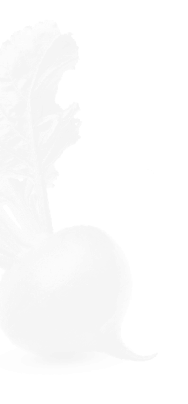 vegatables background image