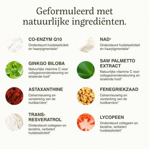 Longevity master Mannen - Superfoodies - 60 caps - 30 porties