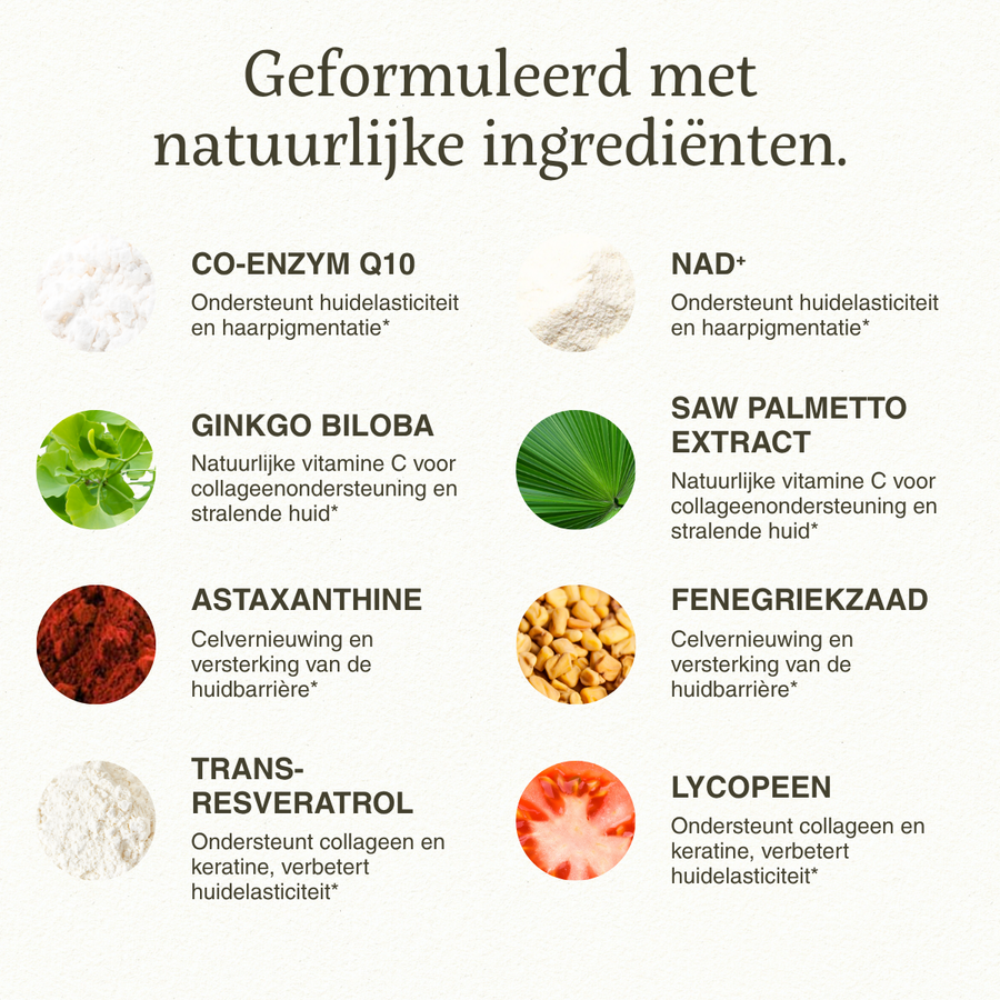 Longevity master Mannen Capsules