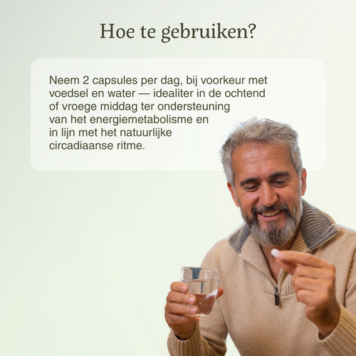 Longevity master Mannen - Superfoodies - 60 caps - 30 porties