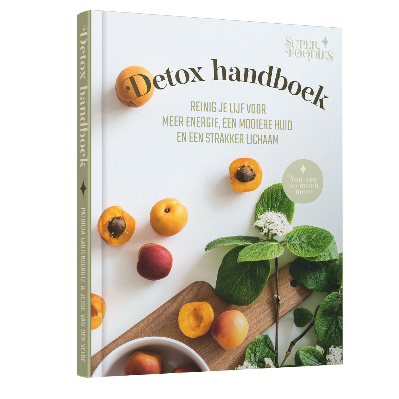 Detox Handboek &mdash; 3D-cover van het fysieke boek dat thuis wordt bezorgd