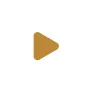 play icon