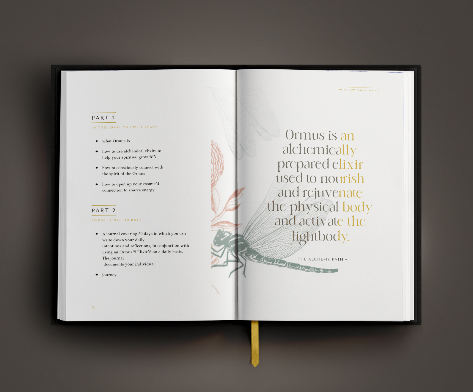 The Alchemy Path Workbook - Laura de Zanger