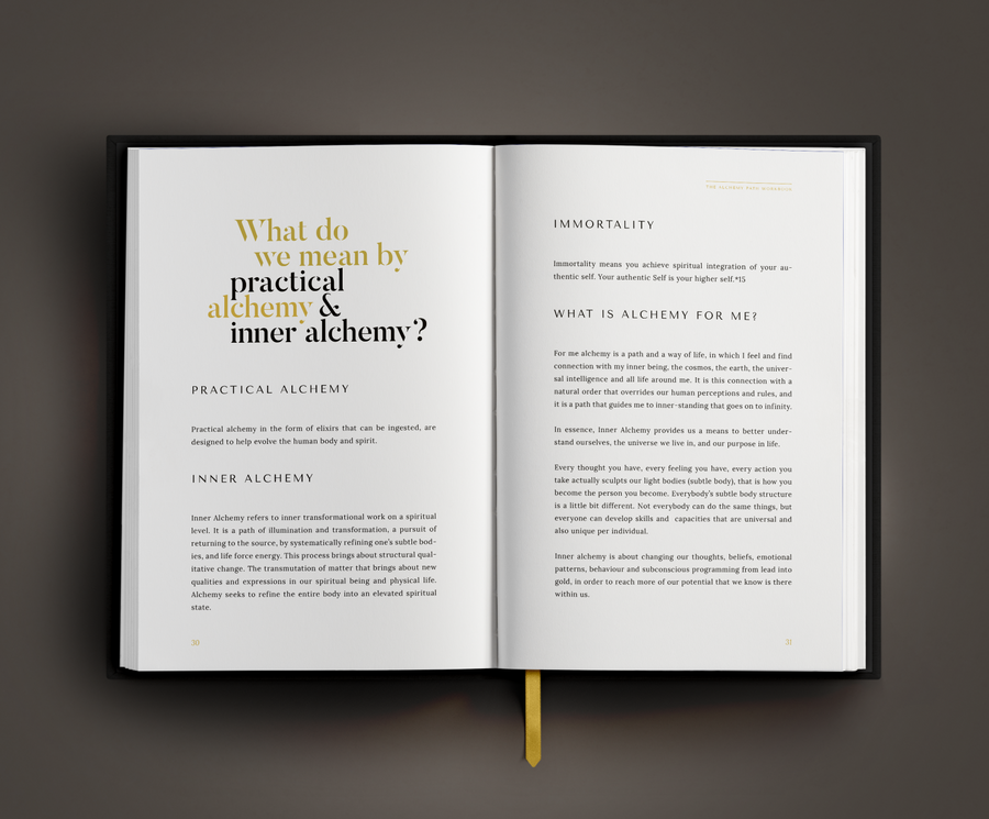 The Alchemy Path Workbook - Laura de Zanger