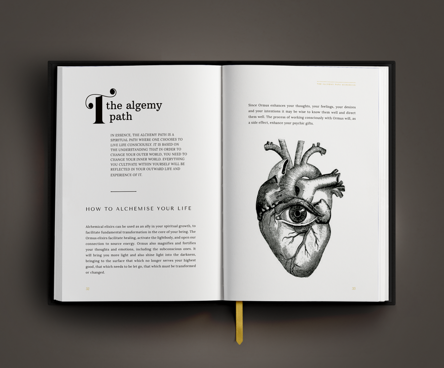 The Alchemy Path Workbook - Laura de Zanger