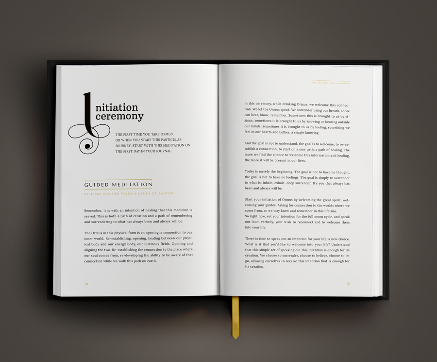 The Alchemy Path Workbook - Laura de Zanger
