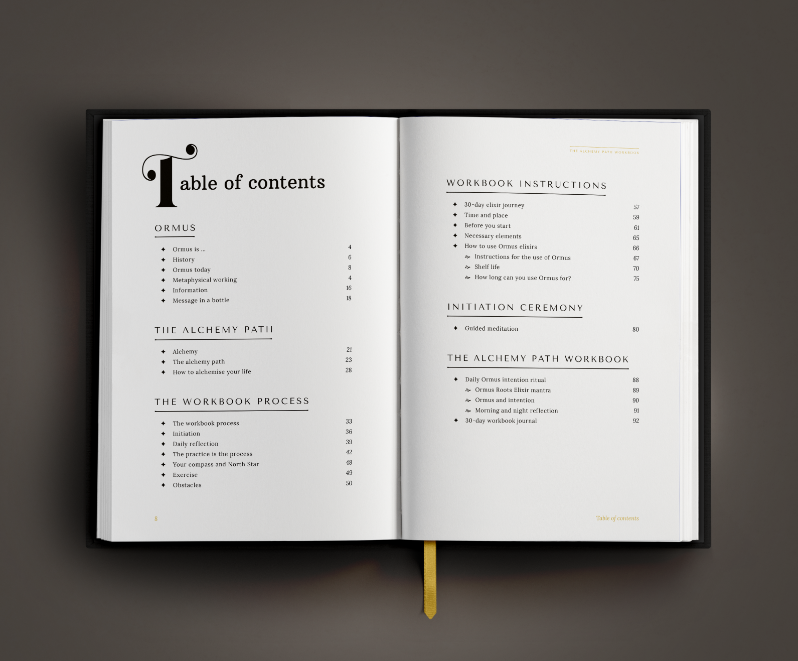 The Alchemy Path Workbook - Laura de Zanger