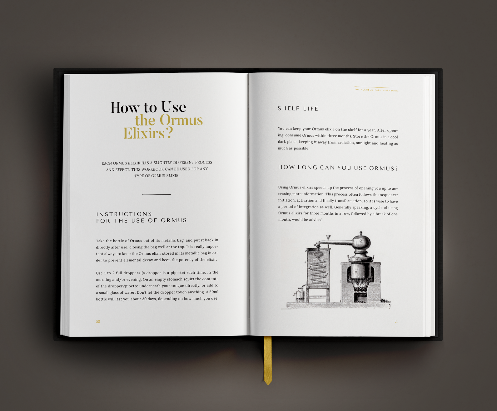 The Alchemy Path Workbook - Laura de Zanger