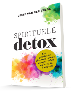 Spirituele Detox - Jesse van der Velde
